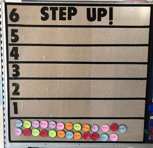 Step Up Board 